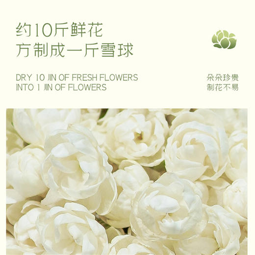 非遗好茶【谢大高】茉莉雪球 花香自然 优雅纯净 茉莉花茶 大口喝水吨吨吨 商品图3