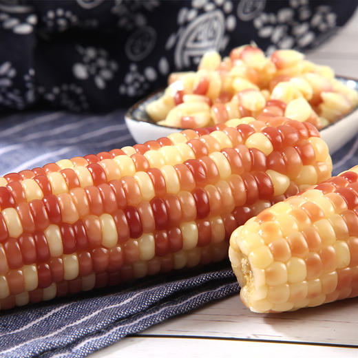 云南小花糯玉米 商品图3