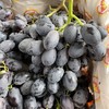 黑加仑 秋黑葡萄   好甜 商品缩略图3