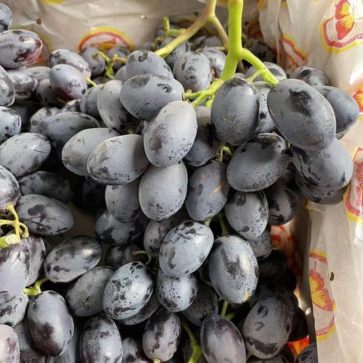黑加仑 秋黑葡萄   好甜 商品图3