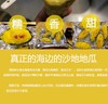 海南桥头海边沙地板栗地瓜 商品缩略图6