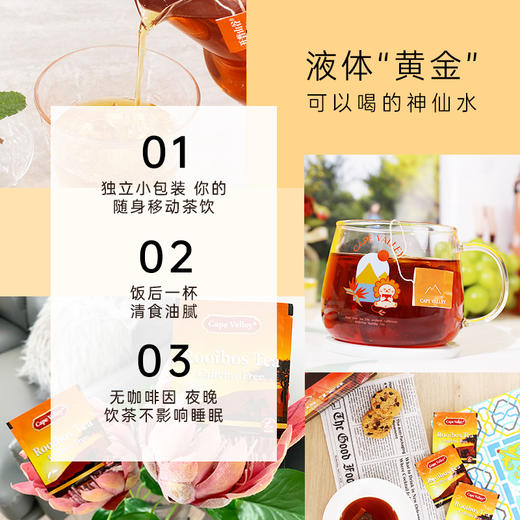 【推荐！经典原味】南非路易波士茶博士茶 商品图2