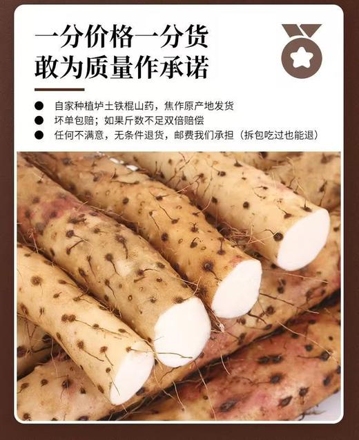 温县垆土铁棍山药，粉性足，肉质细腻 商品图1
