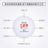友谊729 新材料无缝球 红标比赛级专业训练球3只装 商品缩略图2