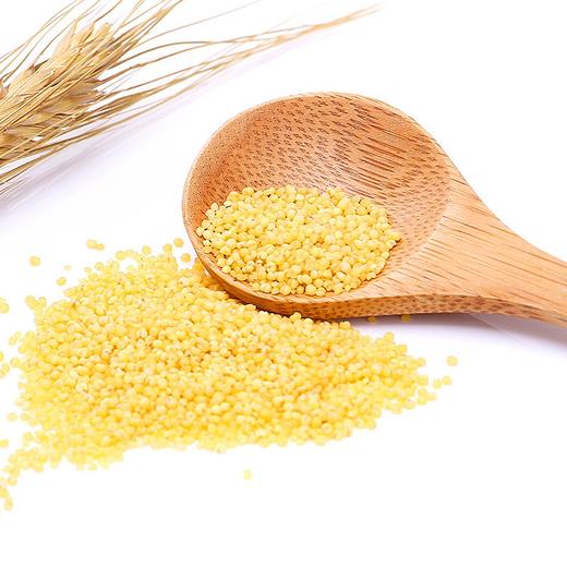 陕北梁家河黄小米 商品图2
