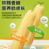 云南拇指玉米A货，香甜软糯 商品缩略图1