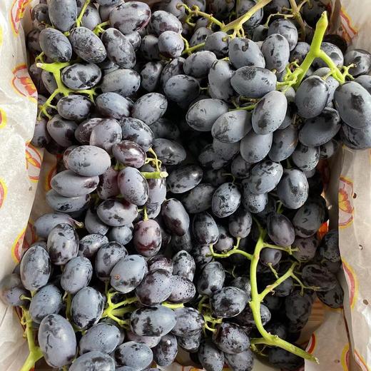 黑加仑 秋黑葡萄   好甜 商品图4