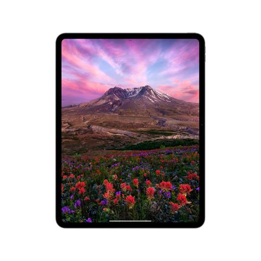 锦天城：iPad Pro 标准玻璃面板，无线局域网版本 商品图3