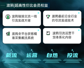 第五节课：付费投流底层逻辑拆解