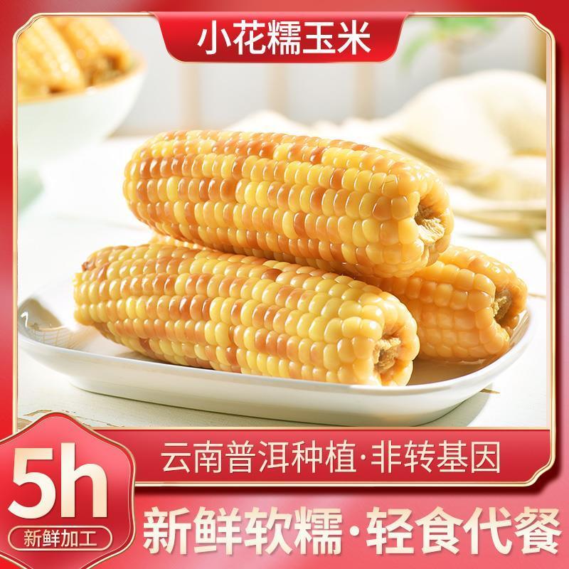 云南小花糯玉米