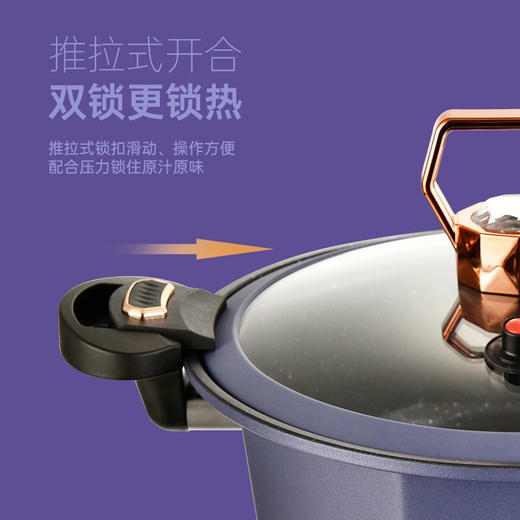 【小家电】巴尔德紫晶钻微压蒸汤锅BD-029 HF 商品图4