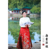 【凤皋九天·漆红】织金妆花工艺新中式国风马面裙故宫红套装 商品缩略图4