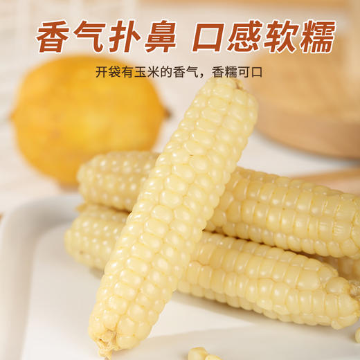 云南拇指玉米A货，香甜软糯 商品图3