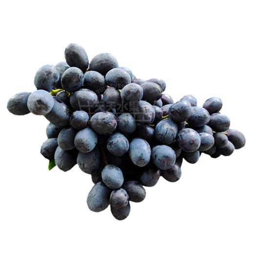 黑加仑 秋黑葡萄   好甜 商品图14