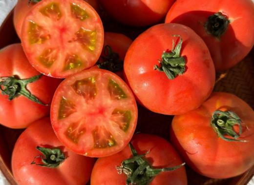 优选|云南高原塔塔蜜水果番茄  多汁饱满 少空心  酸甜比高 果味浓  4.5斤 商品图3