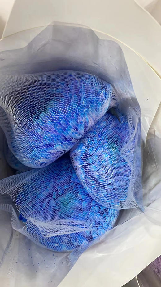 牡丹菊 商品图0