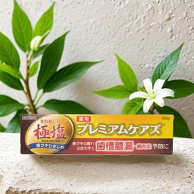 惠百施极盐加护牙膏 100g/支