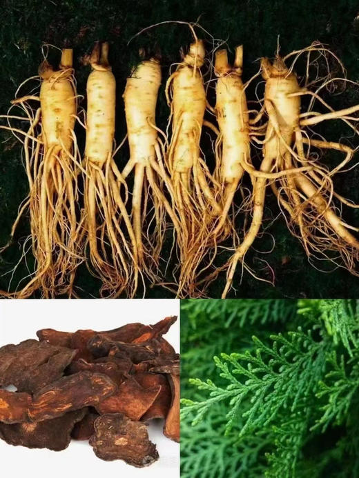 【定制系列】绿色草本洗发水/沐浴露，多种中草药植物活性萃取，配方首位就是#人参精华萃取，能快速渗透发根，✅被头皮吸收，从根开始护发很多姐妹反馈洗完头发，像做了个SAP一样^_^ 商品图7