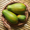 生态木瓜 | 合作生产*Ecological Papaya |Coprodution 商品缩略图0