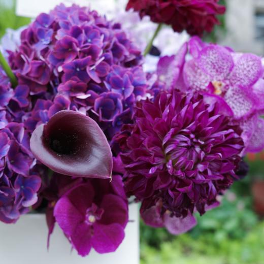 隔岸梦痕 Traces of Dreams 商品图3