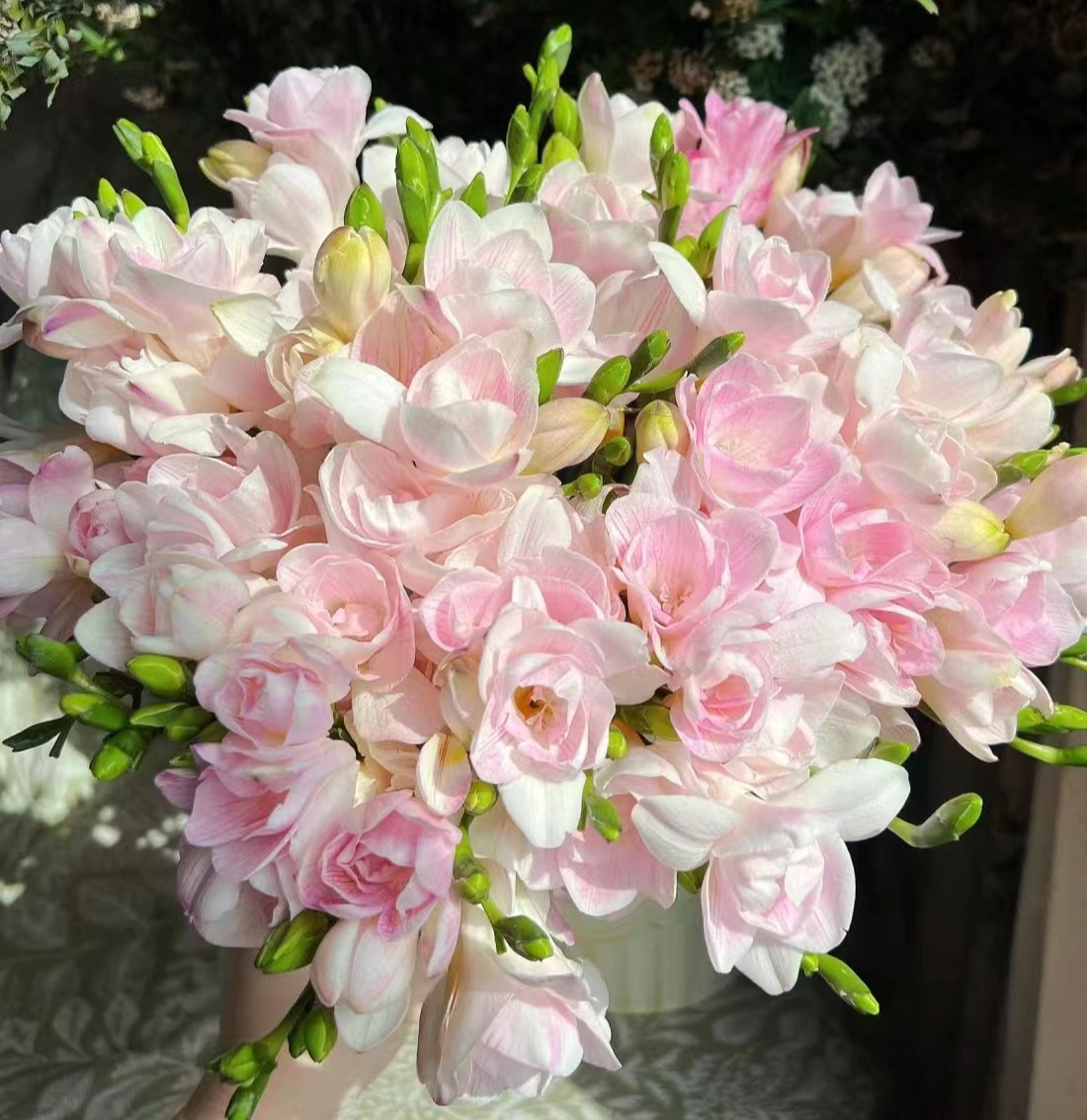 配花 | 小苍兰蜜月