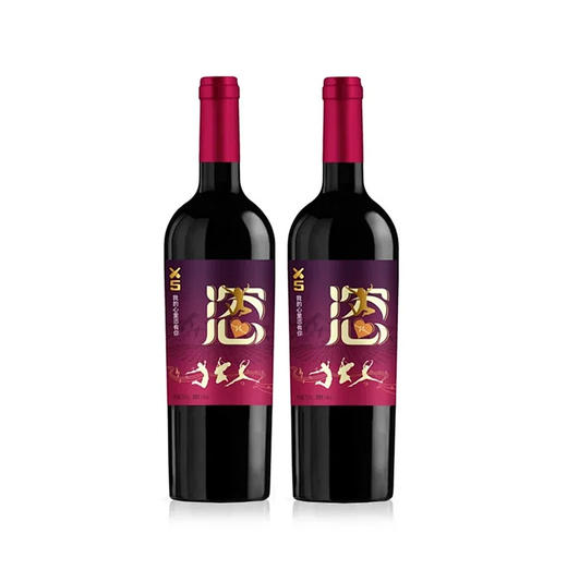 【丰小恣-宁夏红酒】丰小恣·X5系列 美乐干红葡萄酒 750ML100%葡萄原汁  贺兰山东麓产区 酒庄直售 顺丰包邮到家 商品图2