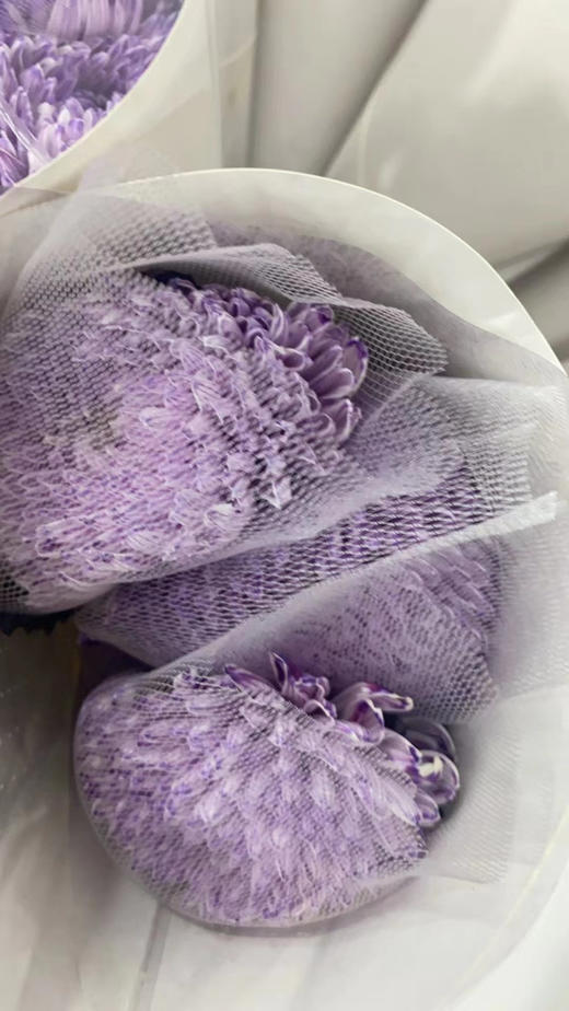 牡丹菊 商品图1