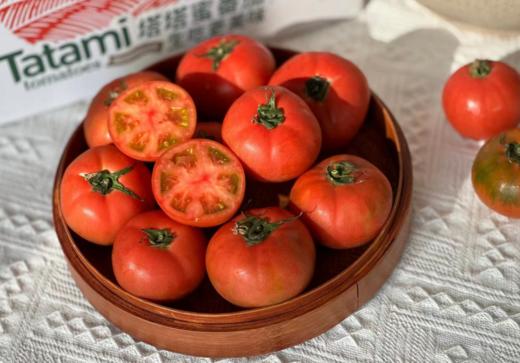 优选|云南高原塔塔蜜水果番茄  多汁饱满 少空心  酸甜比高 果味浓  4.5斤 商品图5