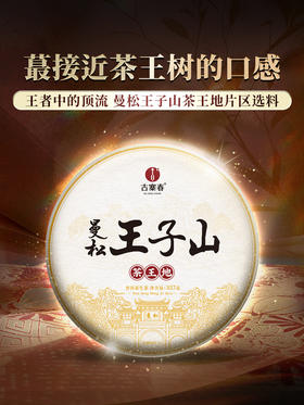【曼松王子山茶王地】只有3饼！！2024年头春头采易武曼松王子山茶王地核心片区 王者中的顶流蕞接近茶王树的口感！