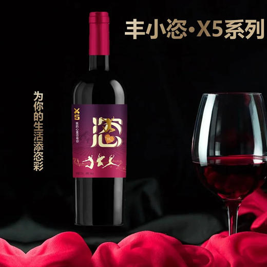 【丰小恣-宁夏红酒】丰小恣·X5系列 美乐干红葡萄酒 750ML100%葡萄原汁  贺兰山东麓产区 酒庄直售 顺丰包邮到家 商品图0