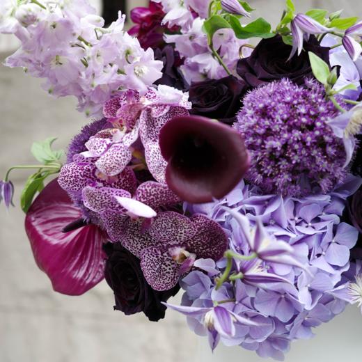 隔岸梦痕 Traces of Dreams 商品图1