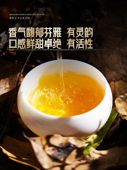 【曼松王子山茶王地】只有3饼！！2024年头春头采易武曼松王子山茶王地核心片区 王者中的顶流蕞接近茶王树的口感！ 商品图4