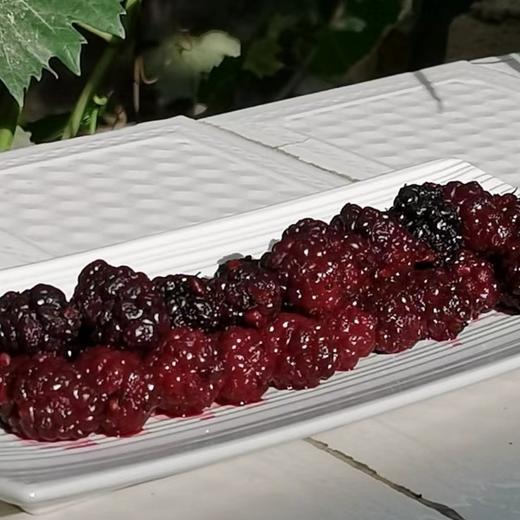 药桑干 商品图6