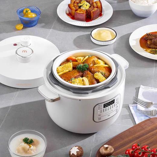 【春上新】10楼 摩飞  电压力锅  MR8701 2.5L 吊牌价599元 活动价399元 商品图1