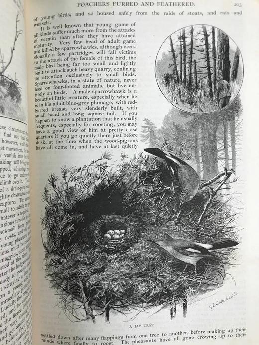 1889-1890年 英国插图杂志 数百幅精美插图 真皮精装16开 商品图10