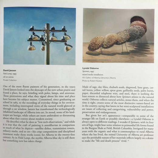 阿尔伯塔图书奖艺术与艺术家概况 数百幅插图 精装16开 商品图8