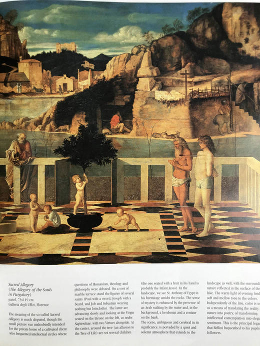 意大利艺术大师图集 数百幅插图 精装大16开 商品图7