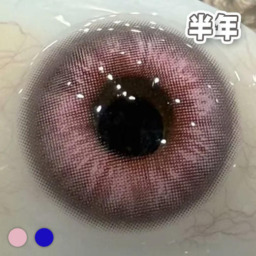 蝴蝶轨迹 粉灰/蓝紫【1片装】COS类型 / 国产 - 半年抛 商品图3