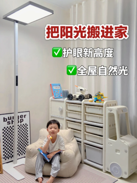 风很大的大路灯选购，成功下车🚌