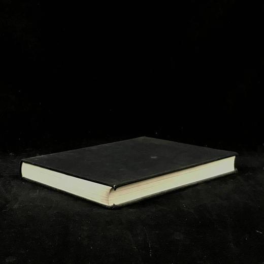 文艺复兴时期意大利艺术图集 576幅插图（140幅彩色） 精装16开 商品图1