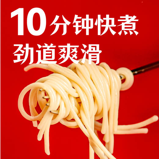 1【代发】【72小时发货】小黄象甄选番茄烩肉酱意面 267g/袋意大利面速食 商品图2