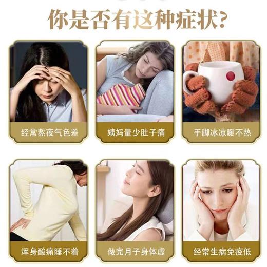 养生茶 黄芪当归党参红枣枸杞玫瑰花独立包装花草茶枸杞养生花茶  商品图1