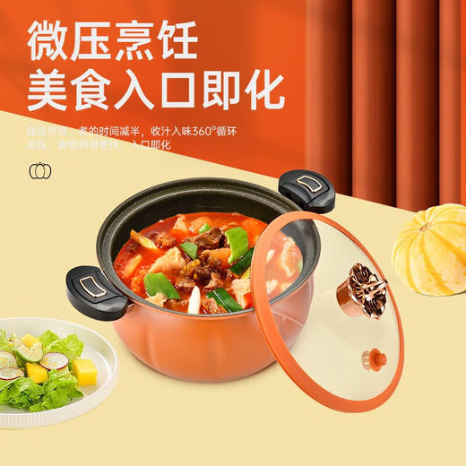 【小家电】巴尔德 橙优选微压锅BD-035 HF 商品图1