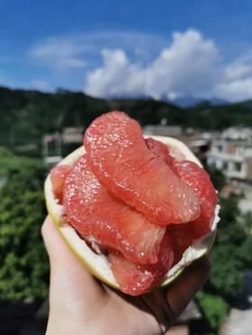 最后一年吃这款柚子了