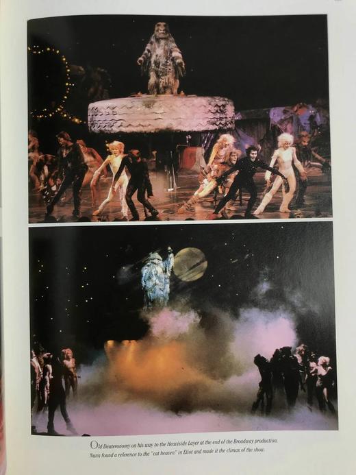 安德鲁·劳埃德·韦伯生平与作品（1989） 175幅插图（125幅彩色） 精装大16开 商品图12