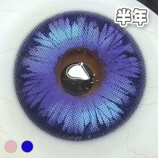 蝴蝶轨迹 粉灰/蓝紫【1片装】COS类型 / 国产 - 半年抛 商品图2