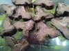 特色酱龙骨1千克 商品缩略图4