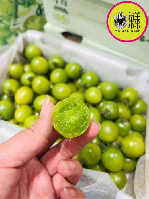 【绿千禧】青霞爆汁小番茄1kg/箱 商品图5
