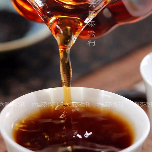 【标杆老茶】三鹤六堡茶 2005年匠心第一版 （75g/罐） 商品图3