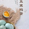 五黑鸡&五黑鸡蛋 商品缩略图0